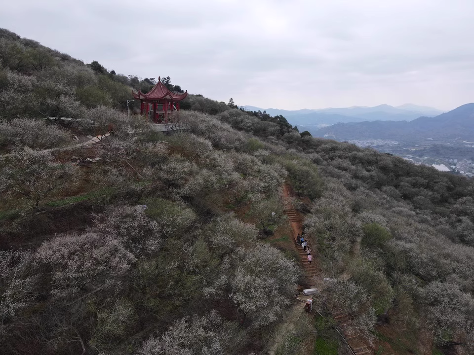 Immagine #1 da x***q